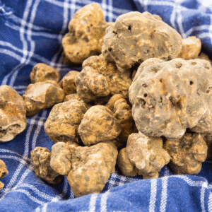 Contest Finale - Tartufi