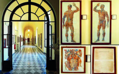 Museo Anatomia Umana “Filippo Civinini”